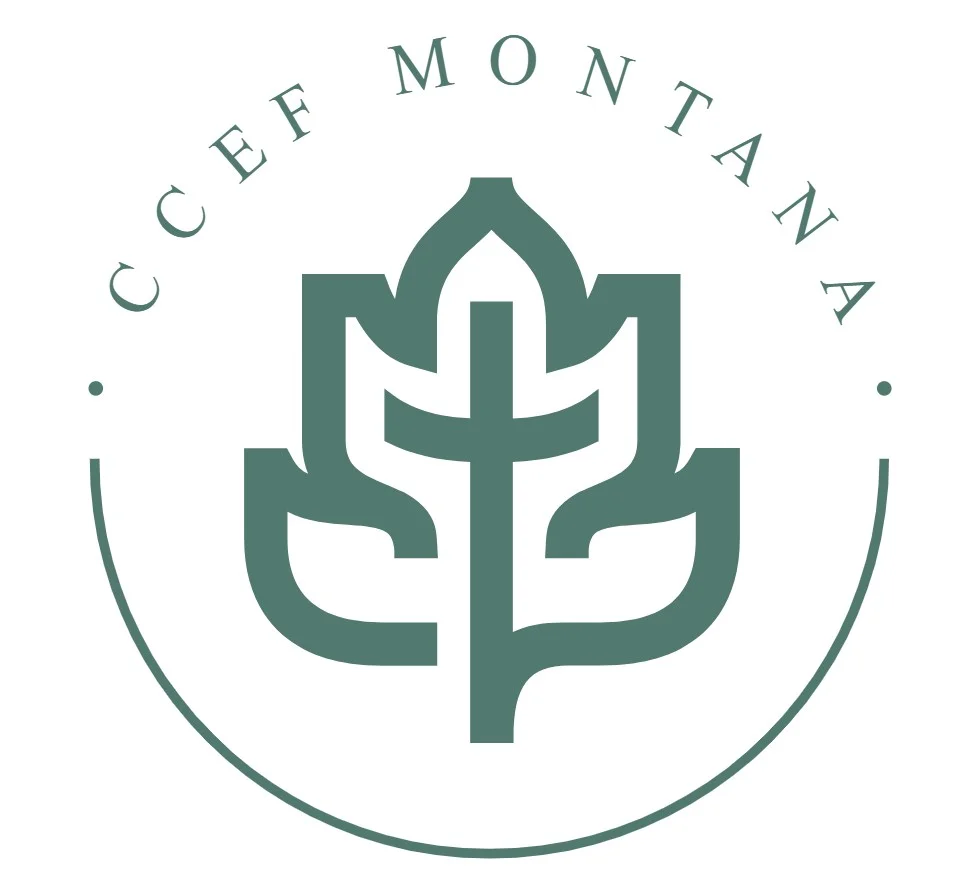 Ccef logo